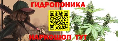 mdpv Дмитров