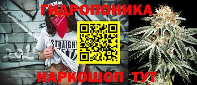 эйфоретик Гудермес