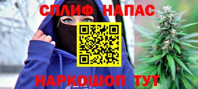 дживик Долгопрудный