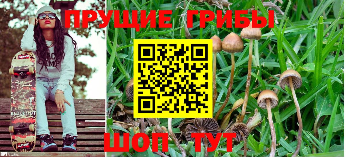 Псилоцибиновые грибы мухоморы Тамбов
