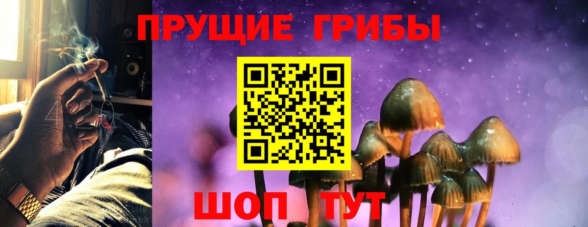 цена   Галлюциногенные грибы Psilocybe  Вход с VPN  Тамбов  Галлюциногенные грибы MAGIC MUSHROOMS 