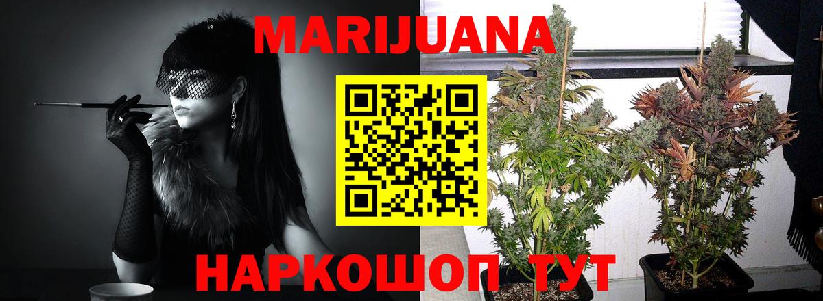 МАРИХУАНА Bruce Banner  Вход с VPN  Тамбов  Бошки марихуана OG Kush 